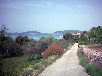 Pogled