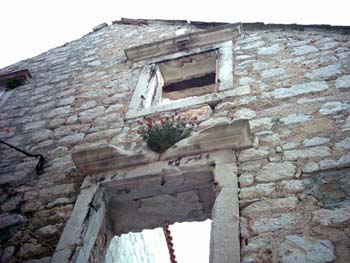 Rusevina